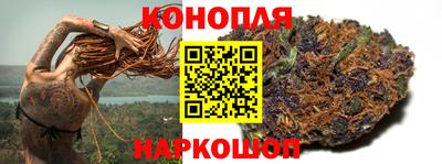 крисы Донецк