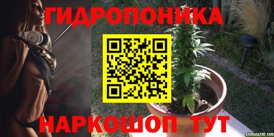 соль ск Дубна